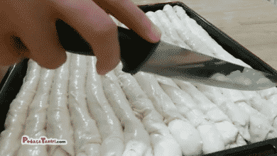Mayasız Hamurlu Çıtır Börek