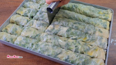 Çok Kolay Pratik Lezzetli Börek Tarifi