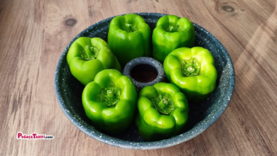 Dolma Tarifi