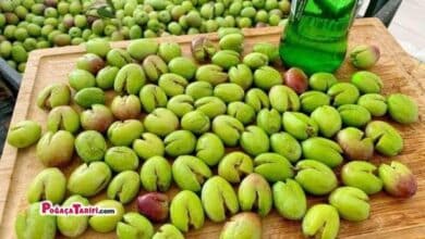 Kırma Zeytin Tarifi