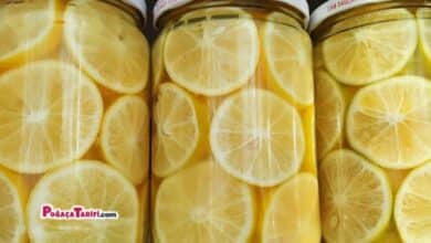 Donmadan Pişirmeden Limonu Bu Şekilde 2 Yıl Saklıyorum