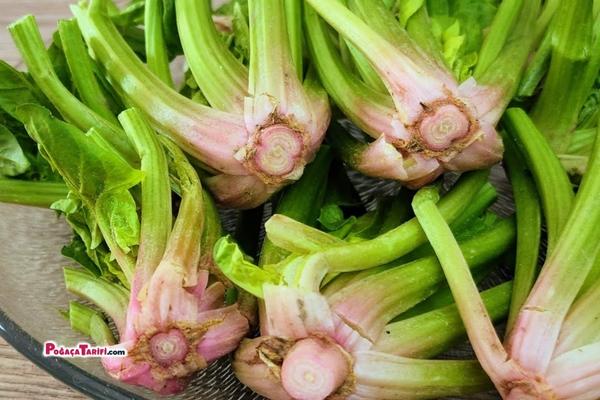 Kökü Yaprağından Daha Lezzetli Yemeyene Yedirir Sevmeyene Sevdirir
