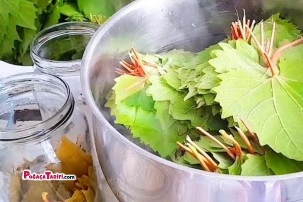 TÜM PÜF NOKTALARI İLE KIŞLIK KONSERVE YAPRAK