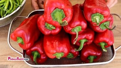 Kışlık Menemen Tarifi