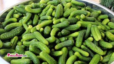 ASLA ERİMEZ ÇITIR ÇITIR TURŞU TARİFİ