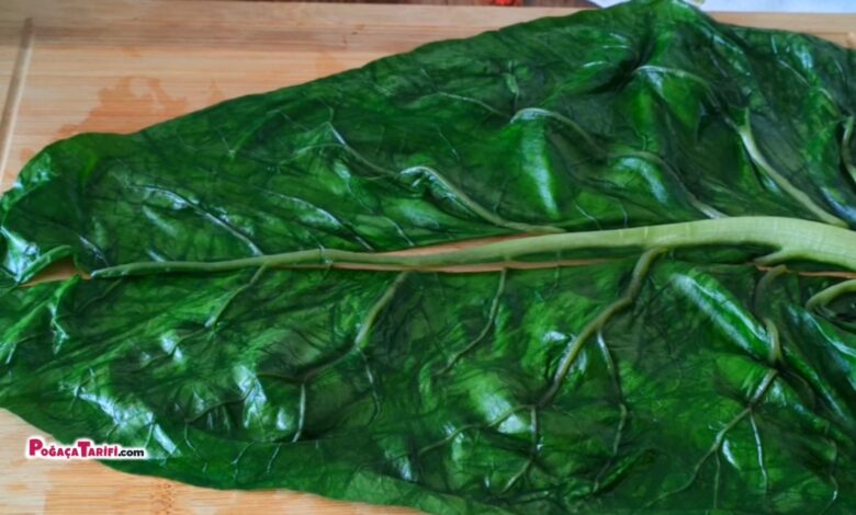 10 Dakika Pratik Börek Tarifi