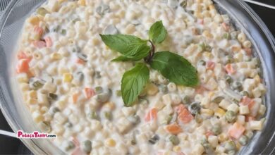 MAKARNA SALATASI TARİFİ