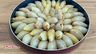 Soğan Dolması Tarifi
